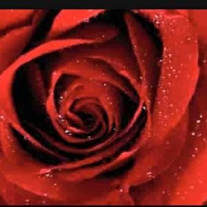 Meet your Posher, Claudia