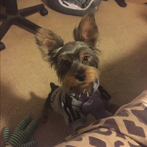 Meet your Posher, Vicky