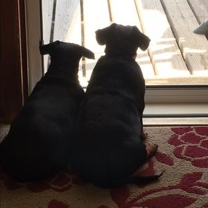 Meet your Posher, Sherry