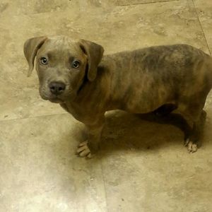 Meet your Posher, Tonie