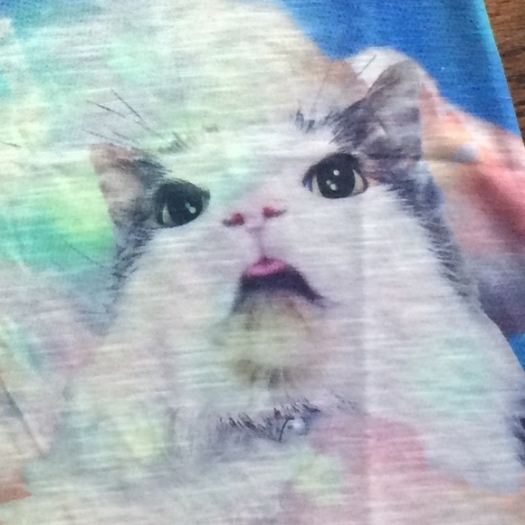 LAST ONE❤️ cats astonished by rainbow tank 🌈 - Picture 2 of 4