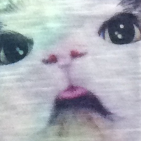 LAST ONE❤️ cats astonished by rainbow tank 🌈 - Picture 4 of 4