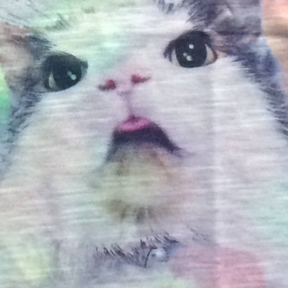 LAST ONE❤️ cats astonished by rainbow tank 🌈 - Picture 3 of 4