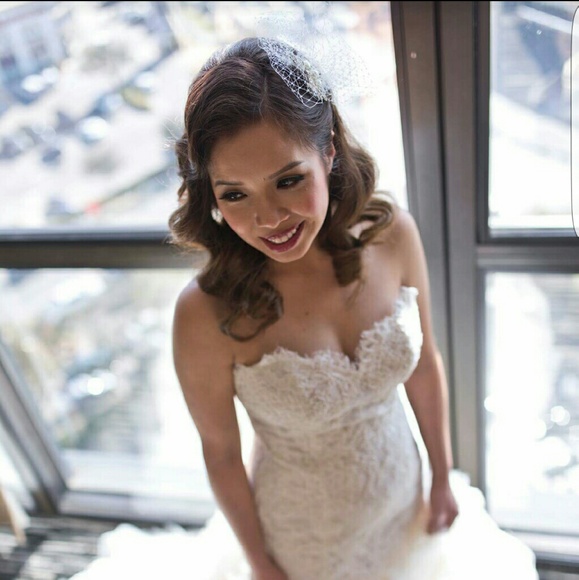 Birdcage veil
