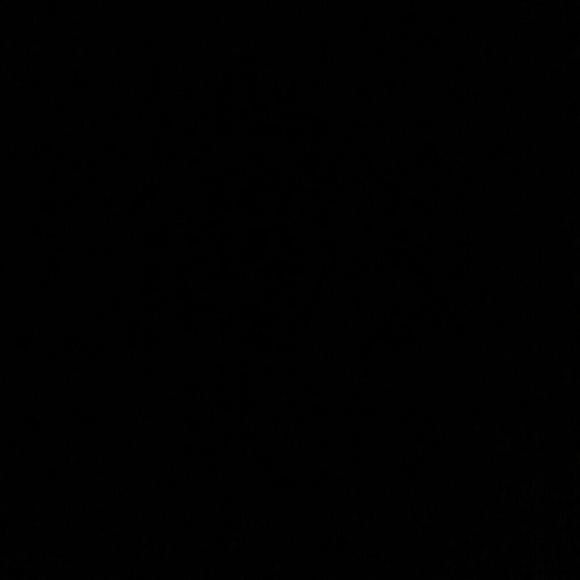 Meet your Posher, Lupita - Picture 1 of 1