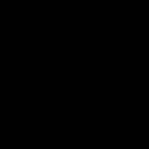 Meet your Posher, Lupita