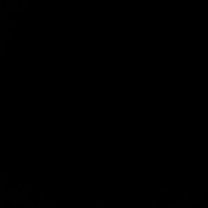 Meet your Posher, Sammy