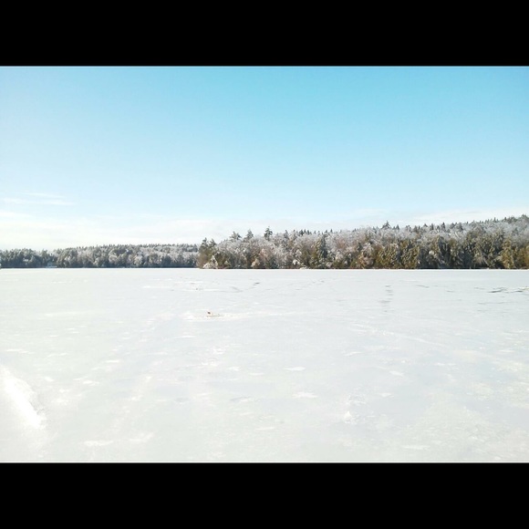 Meet your Posher, Olivia - Picture 1 of 1