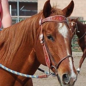 Meet your Posher, Crystal