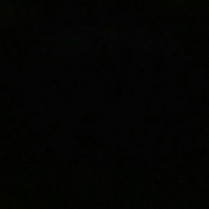 Meet your Posher, Pat