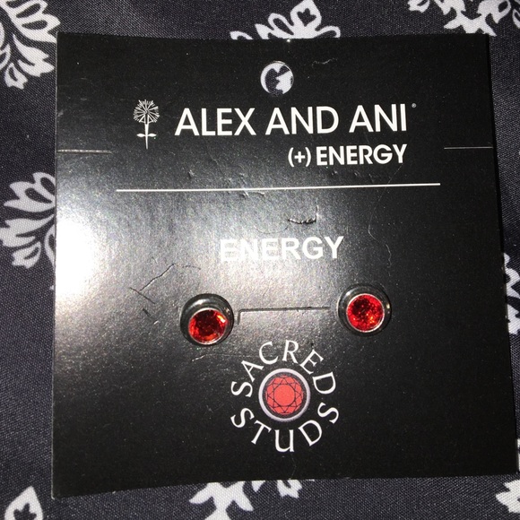 Alex and Ani earrings