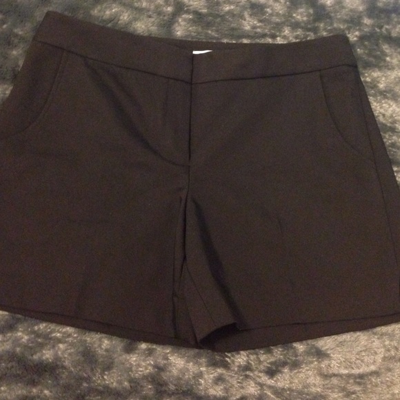 Cache shorts NWOT
