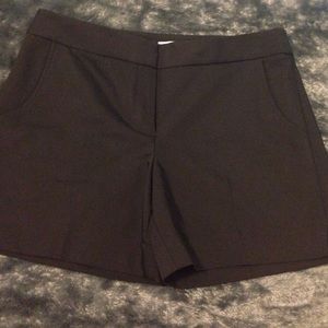 Cache shorts NWOT