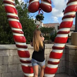 Meet your Posher, Chandler