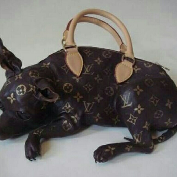 Louis Vuitton pup