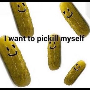 Meet your Posher, Caitlyn