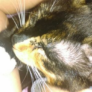 Meet your Posher, Becky