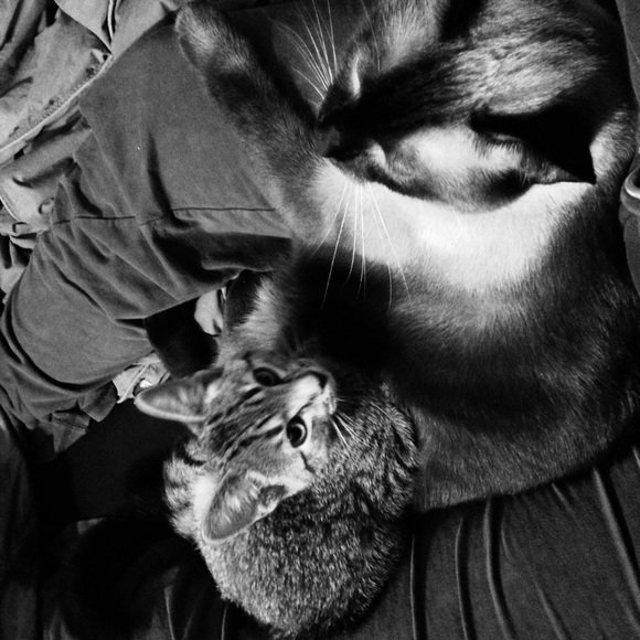 My pretty boy and his new brother