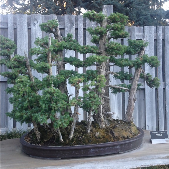 Meet your Posher, Wendy - Picture 3 of 3