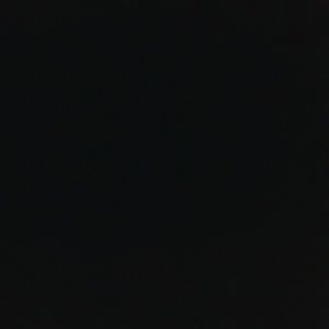 Meet your Posher, Lizzie