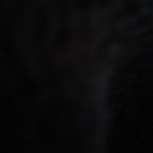 Meet your Posher, Adrianna