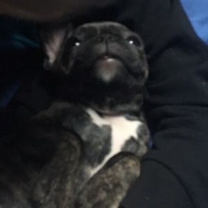 Meet your Posher, Dylan