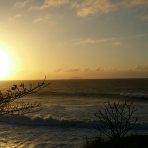 Meet your Posher, Yarizel