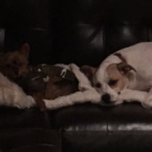 Meet your Posher, Alanna