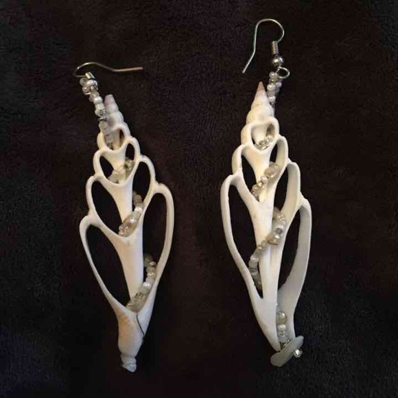 Genuine Seashell Earrings