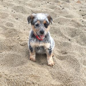 Meet your Posher, Trinity