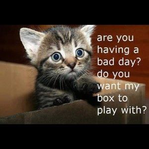 Meet your Posher, Martha