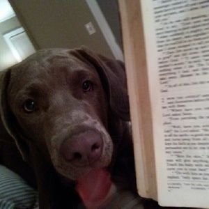 Meet your Posher, Tami