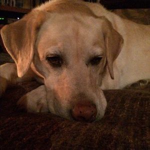 Meet your Posher, Carly