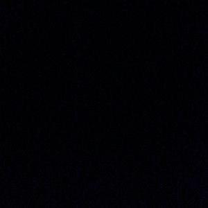 Meet your Posher, Isabella