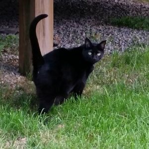 Meet your Posher, Erica