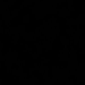 Meet your Posher, Adrian