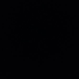 Meet your Posher, Isabella