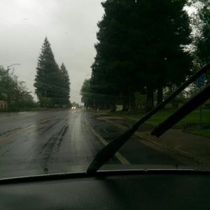 Meet your Posher, Lesbia