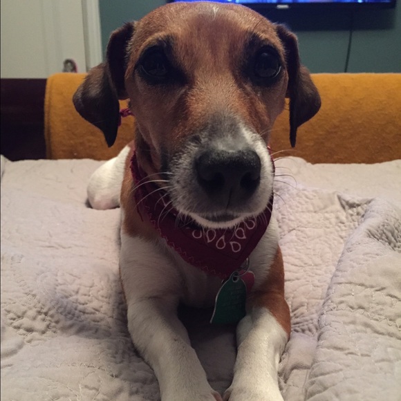 Meet your Posher, Brit - Picture 1 of 1