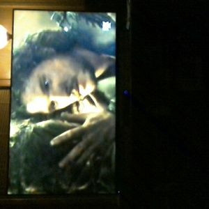 Meet your Posher, Marie