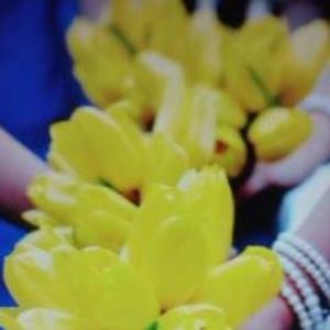 Meet your Posher, Brisa