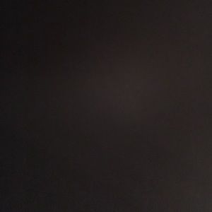 Meet your Posher, Camilla