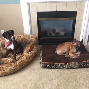 Meet your Posher, Tami