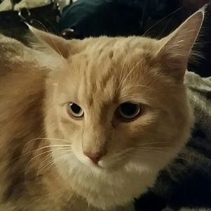 Meet your Posher, Lara