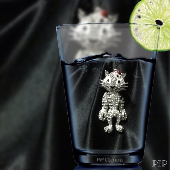Cat charm