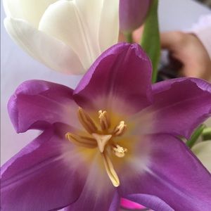 Meet your Posher, Brooke