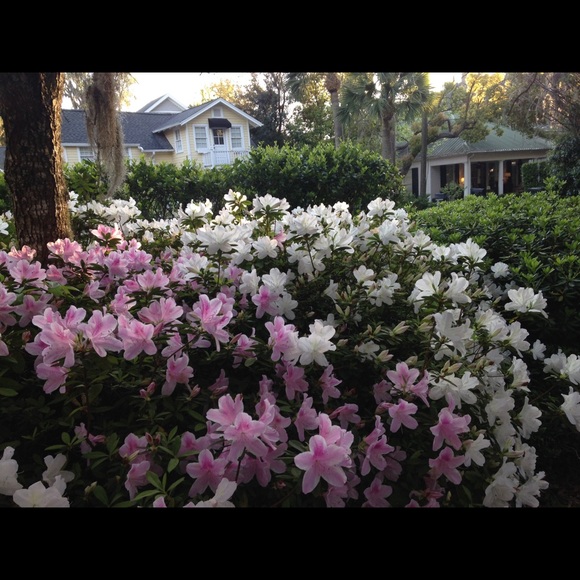 Meet your Posher, Mary banks