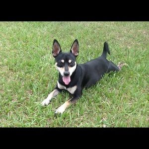 Meet your Posher, Anne