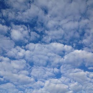 Meet your Posher, Chloe