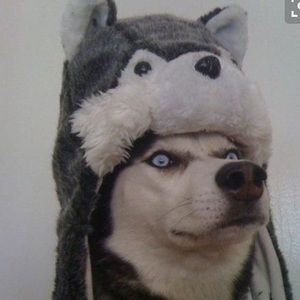 Meet your Posher, Jillian